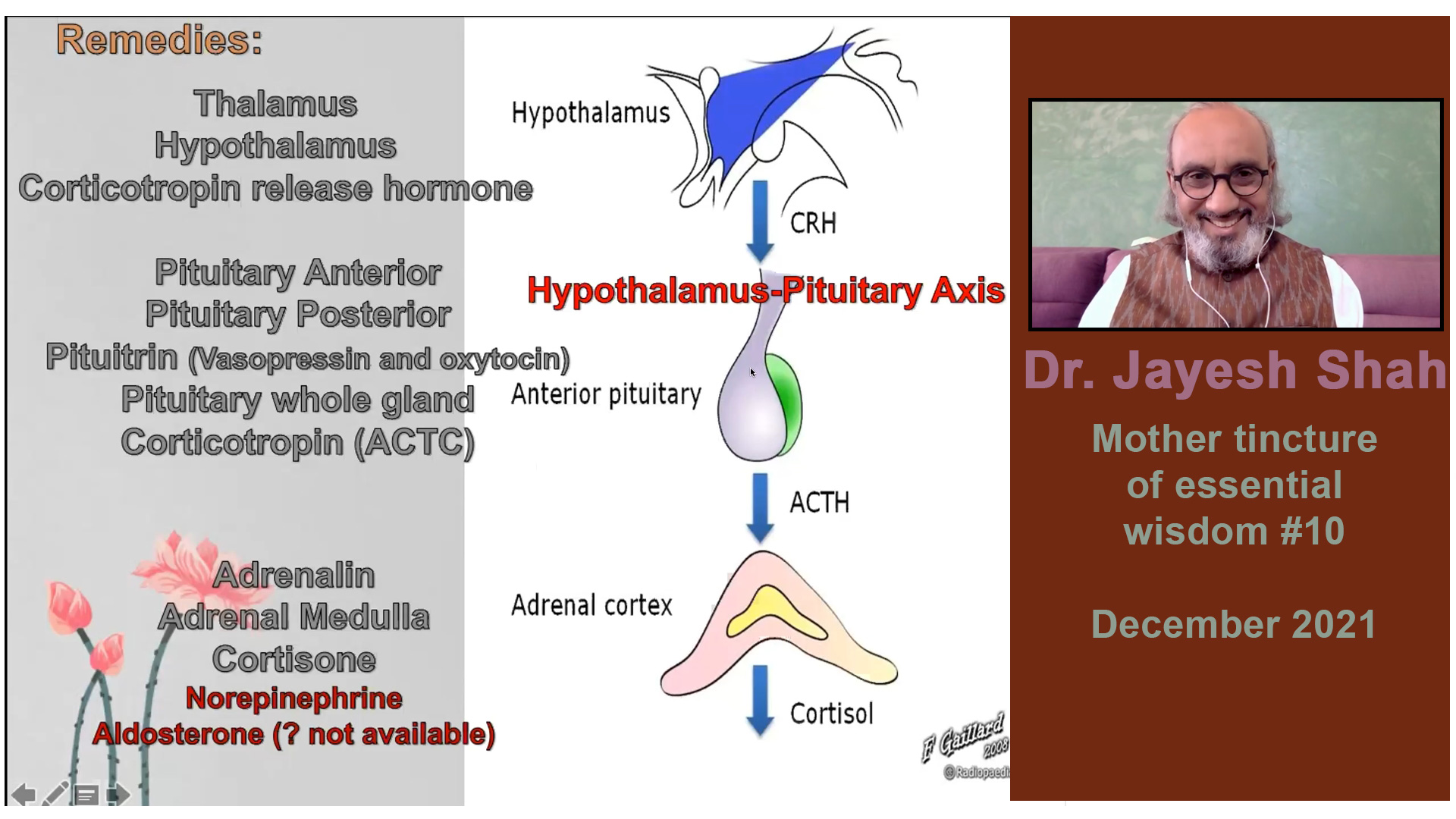Dr. Jayesh Shah Webinar 10-2021 MTEW10